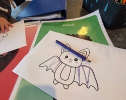 Erhvervspraktik som pædagog