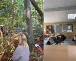 Erhvervspraktik som folkeskolelærer